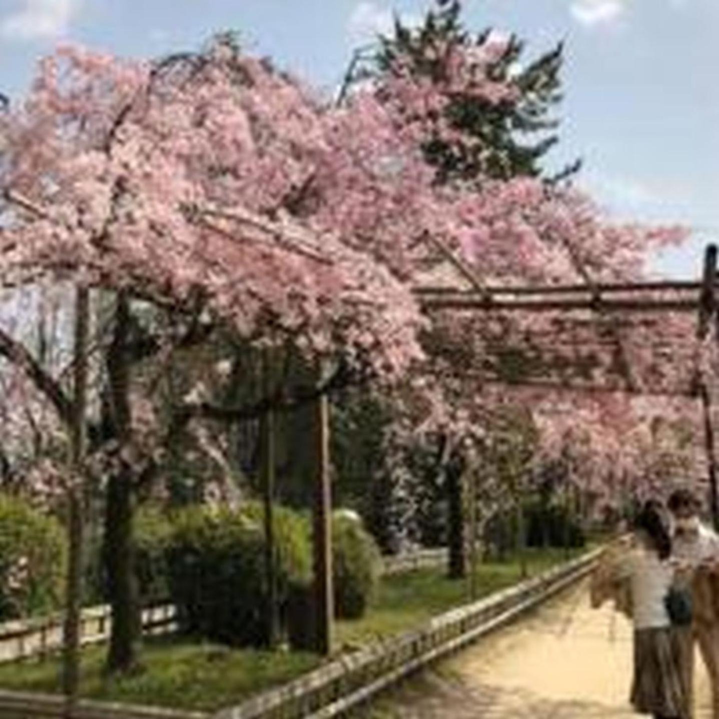 むつみ庵此花601 Apartment โอซาก้า ภายนอก รูปภาพ